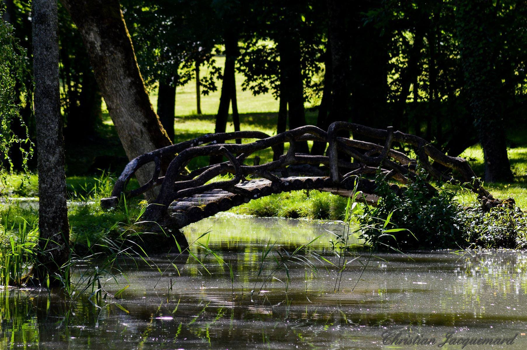 Végétation luxuriante